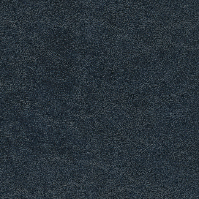 Hoth-Nj # 702 Poseidon by Maxwell Fabric Memos Only-Coated Fabrics FACE: 100% PVC
BACKING: 100% POLYESTER VIETNAM 54" - Fabric Carolina -
