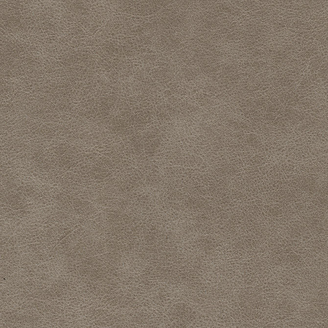 Hoth-Nj # 704 Mollusk by Maxwell Designer Fabric Memos Only-Coated Fabrics FACE: 100% PVC
BACKING: 100% POLYESTER VIETNAM 54" - Swanky Fabrics -