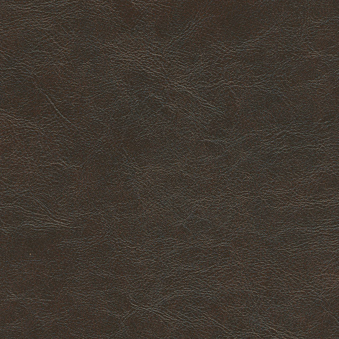 Hoth-Nj # 707 Forage by Maxwell Designer Fabric Memos Only-Coated Fabrics FACE: 100% PVC
BACKING: 100% POLYESTER VIETNAM 54" - Swanky Fabrics -