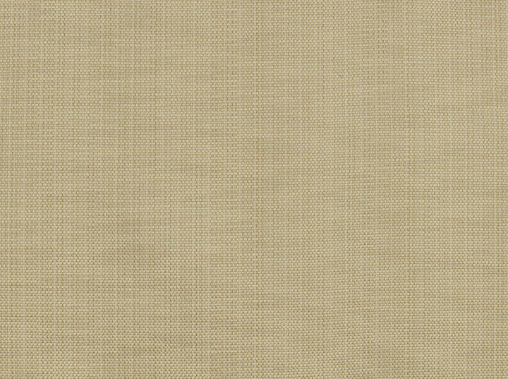 Hl-Piazza Backed Sandstone 118 by Covington Fabric 64% COTTON/36% POLYESTER CHN 50000 Horizontal: 0 and Vertical: 0 55 - Fabric Carolina -