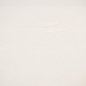 Hoyt # 912 Snowfall by Maxwell Fabric