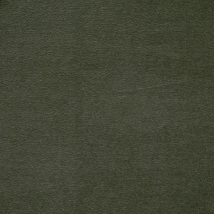 Hoyt # 918 Moss by Maxwell Designer Fabric Performance Wovens-Vol. Viii Lakeside 100% POLYESTER CHINA 54" - Swanky Fabrics -