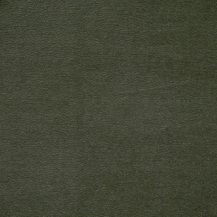 Hoyt # 918 Moss by Maxwell Fabric Performance Wovens-Vol. Viii Lakeside 100% POLYESTER CHINA 54" - Fabric Carolina -