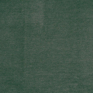Hoyt # 942 Tourmaline by Maxwell Fabric