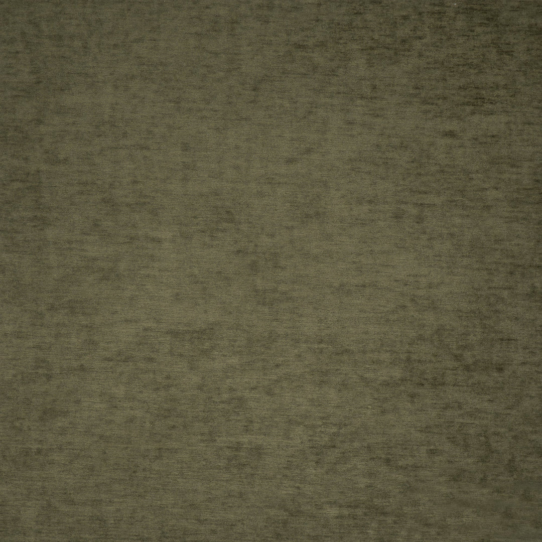 Harrington # 509 Swamp by Maxwell Designer Fabric Performance Velvets-Vol.Vi 100% POLYESTER CHINA 55" - Swanky Fabrics -