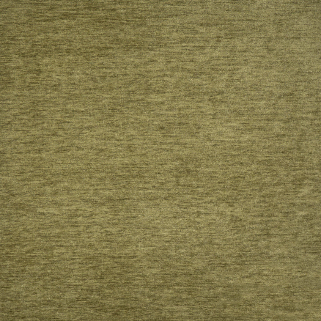 Harrington # 511 Moss by Maxwell Designer Fabric Performance Velvets-Vol.Vi 100% POLYESTER CHINA 55" - Swanky Fabrics -