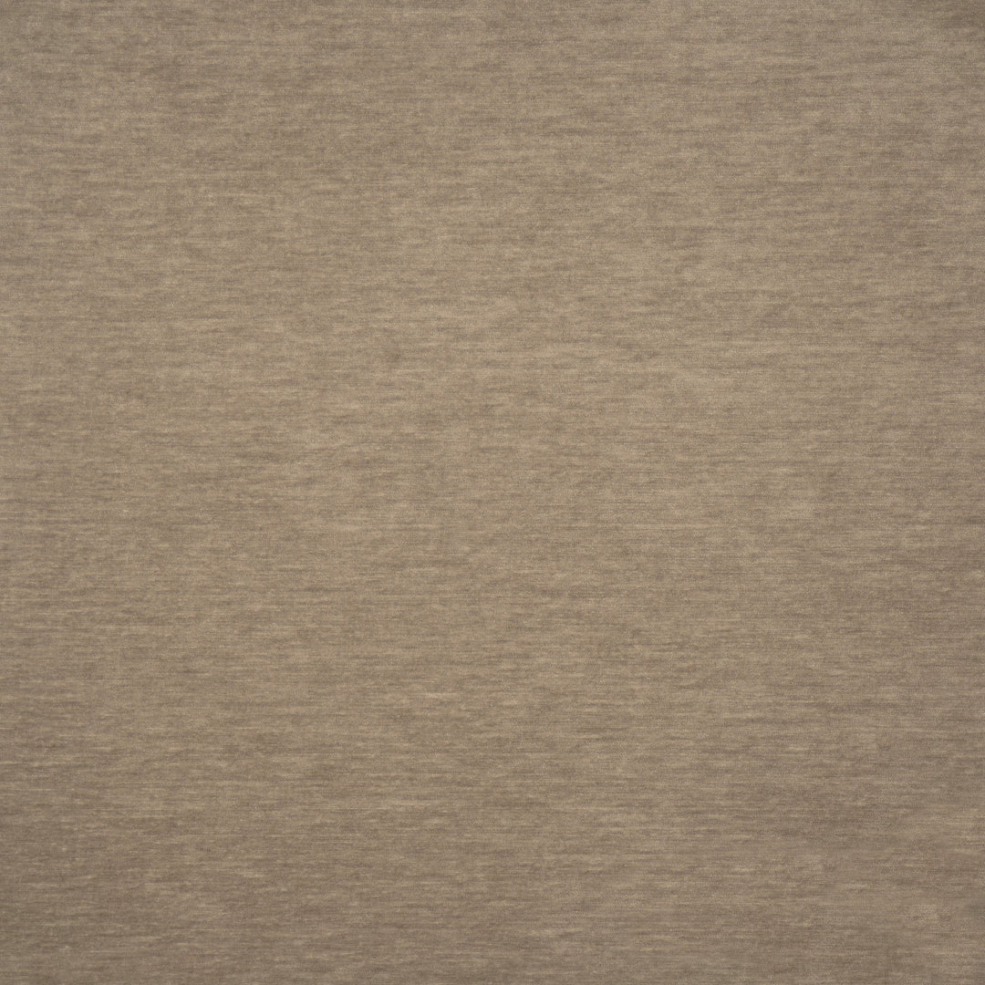 Harrington # 526 Dust Bunny by Maxwell Designer Fabric Performance Velvets-Vol.Vi 100% POLYESTER CHINA 55" - Swanky Fabrics -
