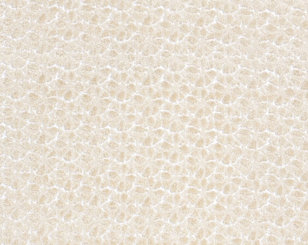 Petal Velvet Ivory HN273320001 by Hinson Designer Fabric