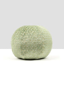 Petal Velvet Pillow 12 Dia - Meadow HNRADK273320005 by Scalamandre Pillows