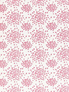 Scalamandre Fabric Fireworks Cotton Print Cupcake Pink