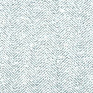 Nevins Aqua by Hinson Fabric