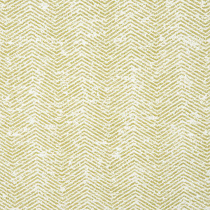 Nevins Green by Hinson Fabric