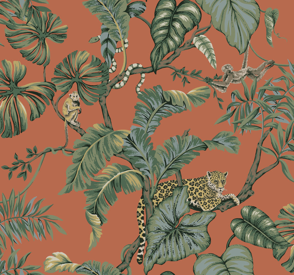 Jungle Cat Orange Wallpaper by Ronald Redding Traveler Covers about 60.8 square feet 27-in by 27-ft long roll Unpasted 25.25 - Fabric Carolina -