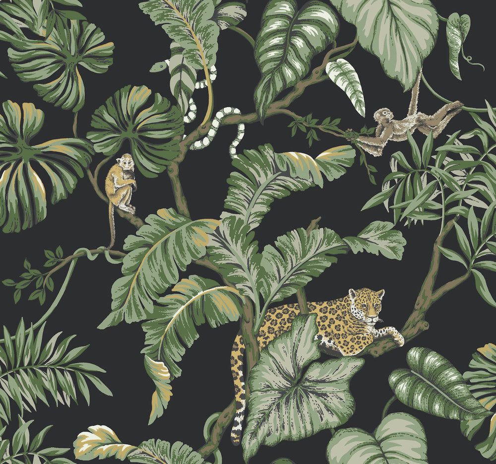 Jungle Cat Black Wallpaper by Ronald Redding Traveler Covers about 60.8 square feet 27-in by 27-ft long roll Unpasted 25.25 - Fabric Carolina -