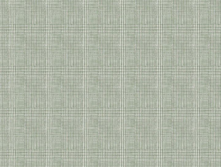 Shirting Plaid Green Wallpaper by Ronald Redding Traveler Covers about 60.8 square feet 27-in by 27-ft long roll Unpasted 20.5 - Fabric Carolina -