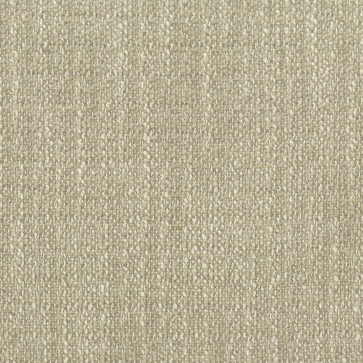 Hocus 1 Taupe by Stout Fabric RAINBOW LIBRARY MUSHROOM/TAUPE 100%POL INDIA FLAME RETARDANT-CA BULLETIN 117-SECTION E WYZENBEEK 50 000 DOUBLE RUB WEAR TEST (HEAVY DUTY) Horizontal: 0 and Vertical: 0 55 in - Fabric Carolina -