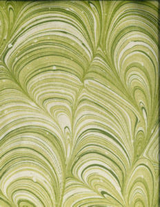 Holden Green 203 by Norbar Fabric MONTAGE 100% POLYESTER SPAIN 20 3/8"V 13 1/3"H 54 - Fabric Carolina -