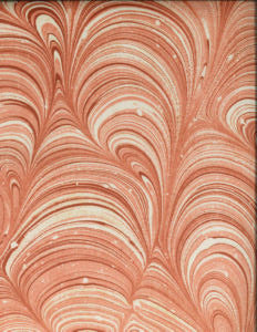 Holden Nectar 206 by Norbar Fabric MONTAGE 100% POLYESTER SPAIN 20 3/8"V 13 1/3"H 54 - Fabric Carolina -