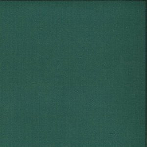 Holiday Aqua by Norbar Fabric Color/AQUA-TEAL-SPA 100% POLYESTER INDIA 50,000 WYZENBEEK 54 - Fabric Carolina -