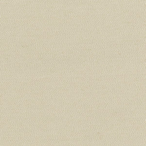 Notion 605 Sand by SolarShade Fabric