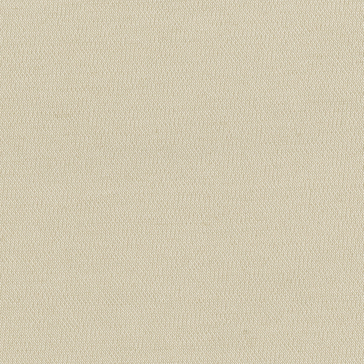 Notion 605 Sand by SolarShade Fabric 100% Solution Dyed Polyester CN 150,000 Double Rubs (Wyzenbeek) </p><p>Repeat: Horizontal: and Vertical: 54 in. (137 cm) - Fabric Carolina -