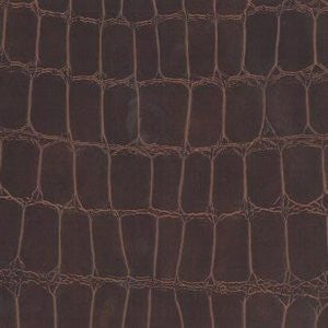 Holly Allspice by Norbar Fabric ENDURO 100% POLY VINYL CHLORIDE TAIWAN 100,000 WYZENBEEK V-20" H-20.50" 54" - Fabric Carolina -