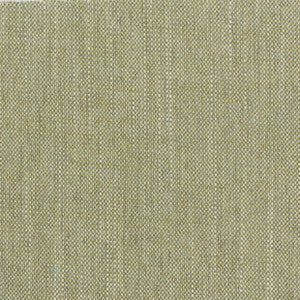 Holyoke 3 Sage by Stout Fabric