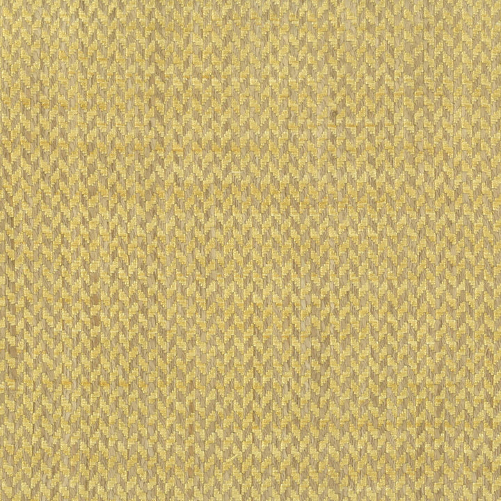 Howdy 1 Straw by Stout Fabric Rainbow Library Chardonnay/Caramel 100% Polyester INDIA FLAME RETARDANT-U.F.A.C. CLASS 1 (OR A) CATB 117-2013 WYZENBEEK 51 000 DOUBLE RUB WEAR TEST (HEAVY DUTY) Horizontal: 0.25 and Vertical: 0.25 54 in - Fabric Carolina -