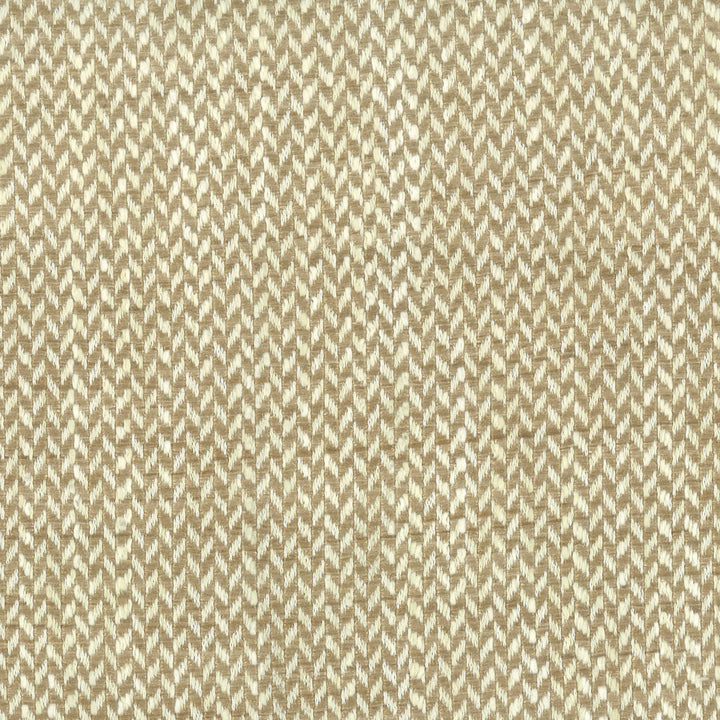 Howdy 3 Toast by Stout Fabric RAINBOW LIBRARY CHARDONNAY/CARAMEL 100%POL INDIA FLAME RETARDANT-U.F.A.C. CLASS 1 CATB 117-2013 WYZENBEEK 51 000 DOUBLE RUB WEAR TEST (HEAVY DUTY) Horizontal: 0.25 and Vertical: 0.25 54 in - Fabric Carolina -