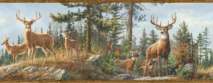 Fern Brown Whitetail Portrait Wallpaper by Chesapeake Outdoors Covers about 10 square feet 8-in by 15-ft long roll Prepasted 0 - Fabric Carolina -
