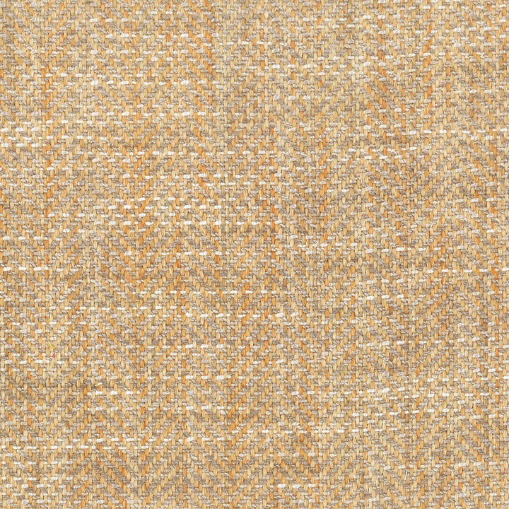 Hugely 2 Ginger by Stout Fabric RAINBOW LIBRARY MANGO/CAYENNE 92%POL 8%SVI INDIA MARTINDALE WEAR TEST (25 000 CIRCULAR RUBS) Horizontal: 0 and Vertical: 0 54 in - Fabric Carolina -