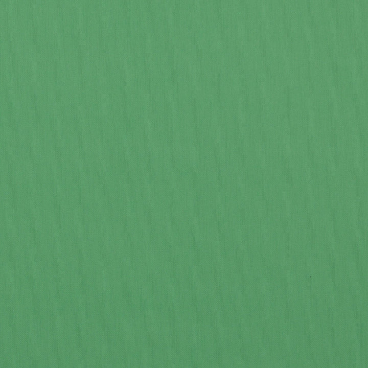 Hulk Malachite by Kravet Contract Fabric FAUX LEATHER EXTREME PERFORMANCE PVC - ARTIFICIAL LEATHER - 88%;POLYESTER - 12% Thailand HEAVY Horizontal: and Vertical: 54 - Fabric Carolina -