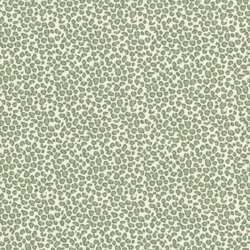Hurry 2 Sage by Stout Fabric Stout Fabric Hurry 2 SageFabric Rainbow Library Celadon/Bottle 72%Pol 20%Svi 8%Lin China </p><p>Repeat: H: 6.75, V: 10 54 in - Fabric Carolina -