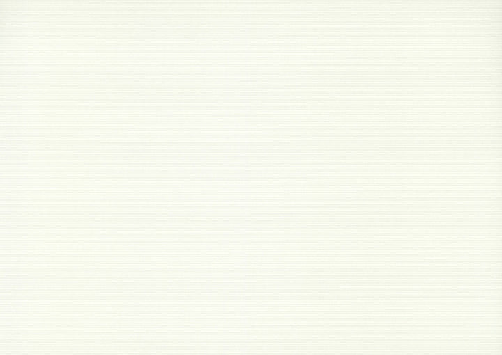 Varna Eggshell Wallpaper by Quietwall HP QuietWall Covers about 13.8 square feet Unpasted No repeat, random match 55-in by 3-ft long roll - Fabric Carolina -