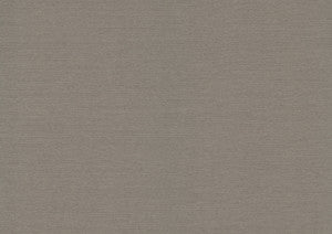 Varna Pigeon Wallpaper by Quietwall