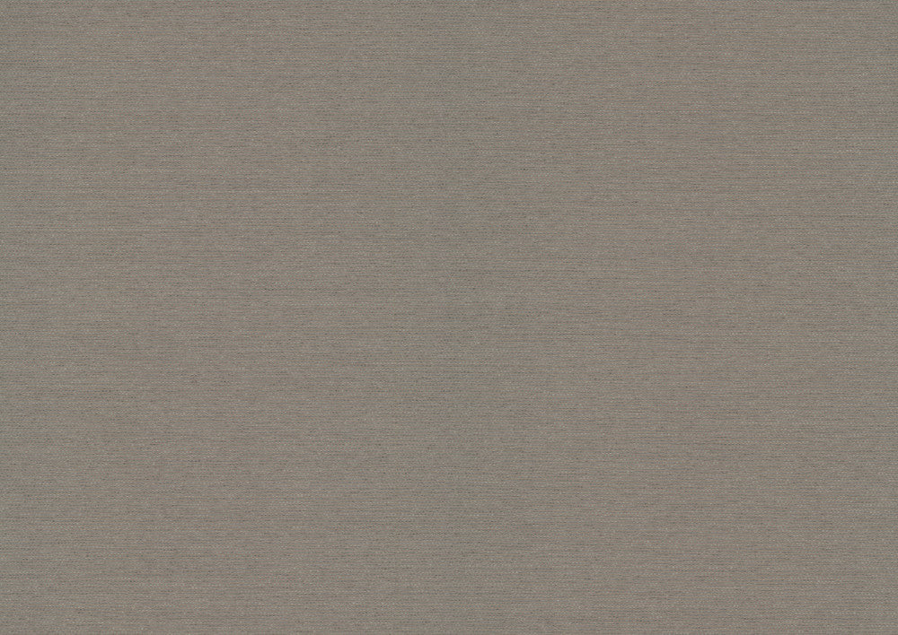 Varna Pigeon Wallpaper by Quietwall HP QuietWall Covers about 13.8 square feet Unpasted No repeat, random match 55-in by 3-ft long roll - Fabric Carolina -