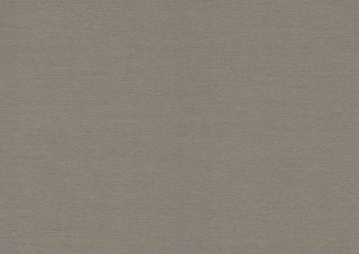 Varna Pigeon Wallpaper by Quietwall HP QuietWall Covers about 13.8 square feet Unpasted No repeat, random match 55-in by 3-ft long roll - Fabric Carolina -