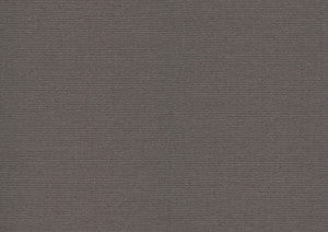 Varna Raisin Wallpaper by Quietwall