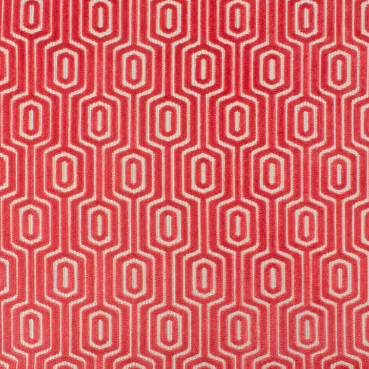 Hypnotize 1 Watermelon by Stout Fabric RIGHT ON TREND CUT VELVETS 53%POL 47%SVI INDIA WYZENBEEK 12 000 DOUBLE RUB WEAR TEST (MEDIUM DUTY) </p><p>Repeat: 3.75 54 in - Fabric Carolina -
