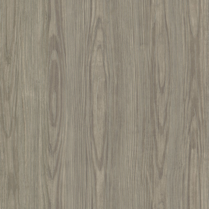 Tanice Brown Faux Wood Texture Wallpaper by Warner Studios Horizon Covers about 60.8 square feet 27-in by 27-ft long roll Unpasted 24 - Fabric Carolina -