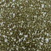 Harvest Sprouts by Europatex Fabric