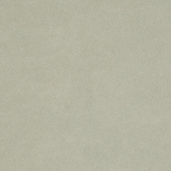Hawthorne Platinum WHA-012 by Nassimi Fabric See sample 95% Polyurethane (Polycarbonate),5% Silicone USA or Imported Water-based cleaning agents and foam may be used for cleaning. Cleaning by a professional cleaning service is recommended. 54 - Fabric Carolina -