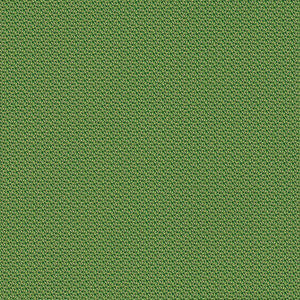 Hitch Fiesta by Spradling Fabric