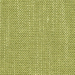 Homestead Moss by Crypton Fabric