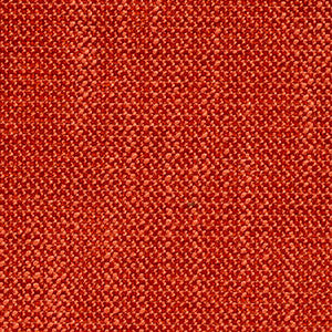 Homestead Torch by Crypton Fabric