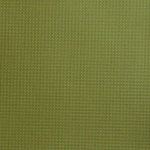 Huxley Green Tea by Nassimi Fabric
