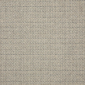 42079 Hybrid Smoke by Sunbrella Fabric