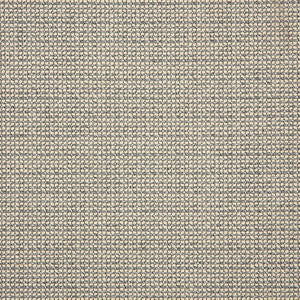 42079 Hybrid Smoke by Sunbrella Fabric