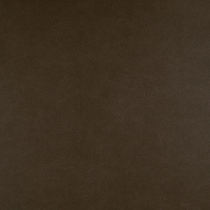 Icon # 722 Cortado by Maxwell Fabric Easy Rider Vii FACE: 95% POLYURETHANE/ 5% SILICONE
BACKING: 100% POLYESTER TAIWAN 54" - Fabric Carolina -