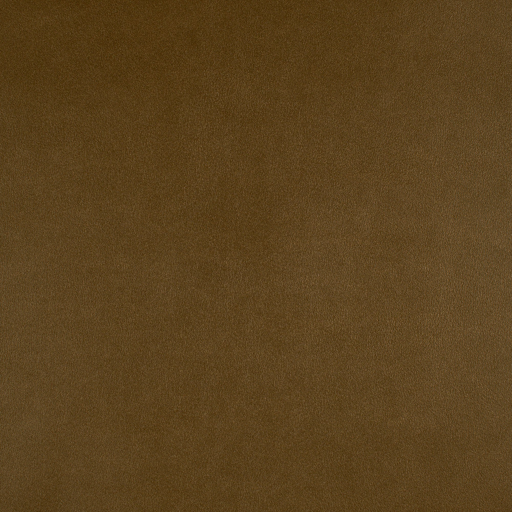 Icon # 727 Aztec by Maxwell Designer Fabric Easy Rider Vii FACE: 95% POLYURETHANE/ 5% SILICONE
BACKING: 100% POLYESTER TAIWAN 54" - Swanky Fabrics -